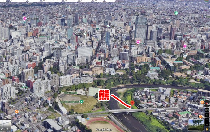 【クマ出没警報を継続中】クマ5頭同時出現