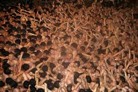 はだか祭り 岡山 3人意識不明 搬送6人